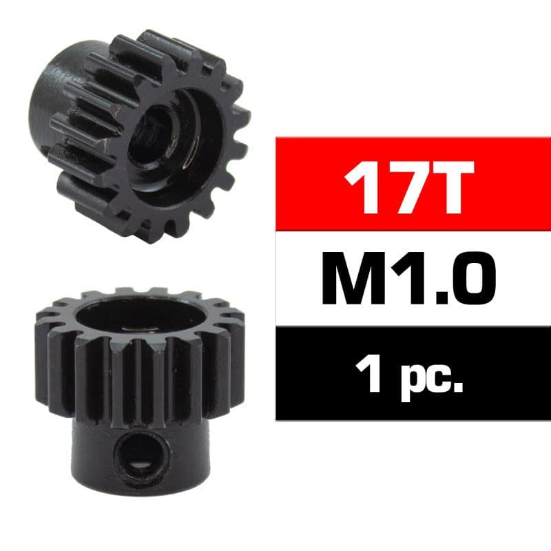 Svart pinonjgir 17T M1.0